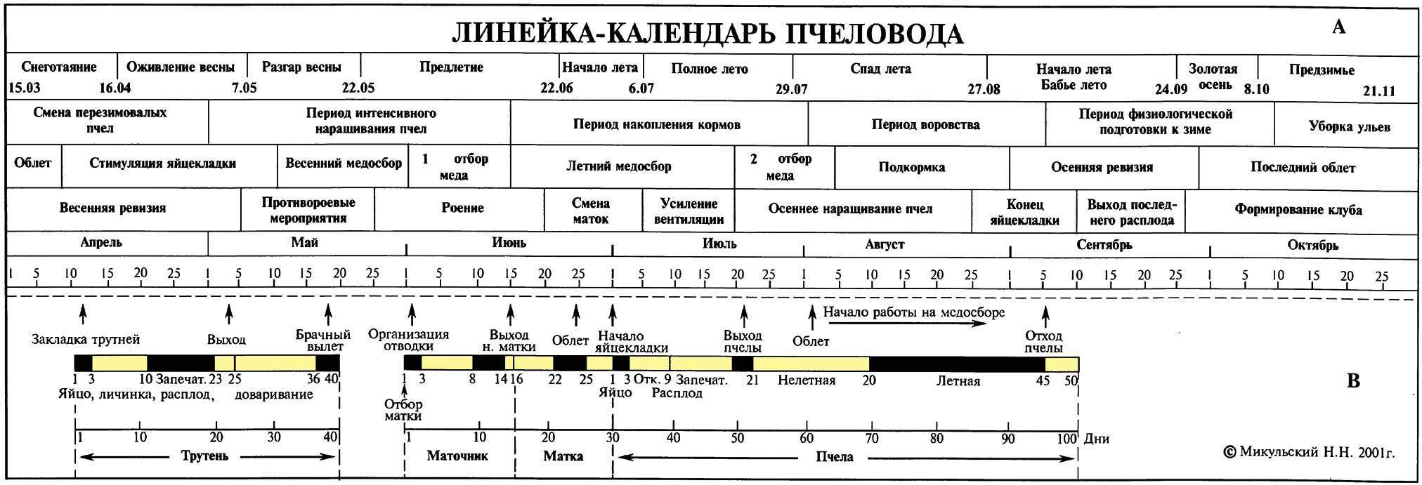 Пасечный журнал пчеловода образец