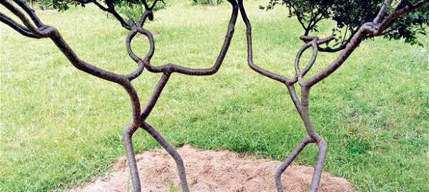 Скульптурная резьба по дереву: жанры, выбор древесины, выполнение скульптуры, фото, видео