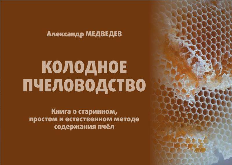 Колодное пчеловодство для начинающих: чертежи, содержание пчел