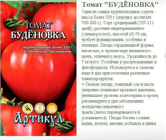 Горы урожая сорта помидоров из сибири — томат супербомба: описание и советы по выращиванию