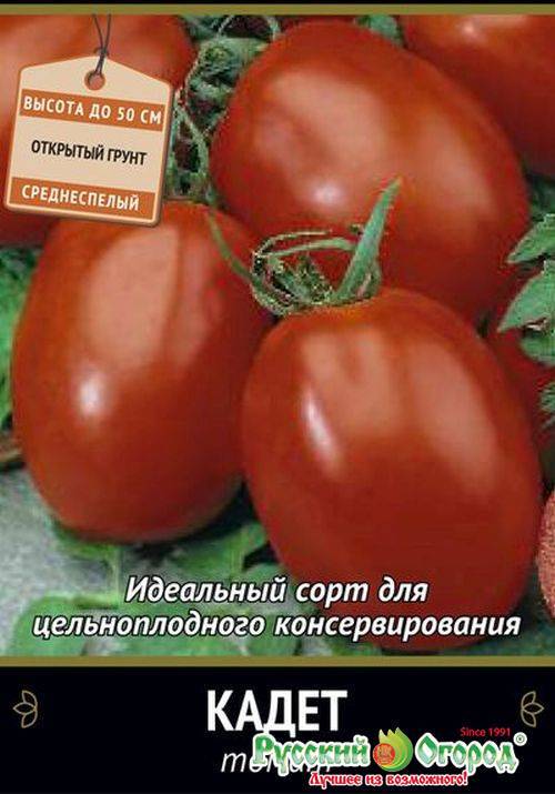 Сорт помидоров ракета: отзывы, описание, выращивание, урожайность, характеристики с фото
