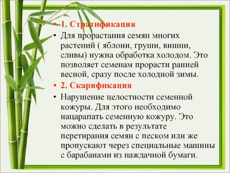 Стратификация семян в домашних условиях. способы, температура, сроки — ботаничка.ru