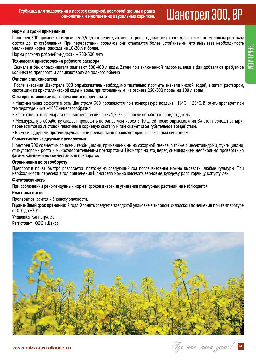ᐉ гербициды для картофеля: название и описание средств защиты от сорняков - zookovcheg.ru