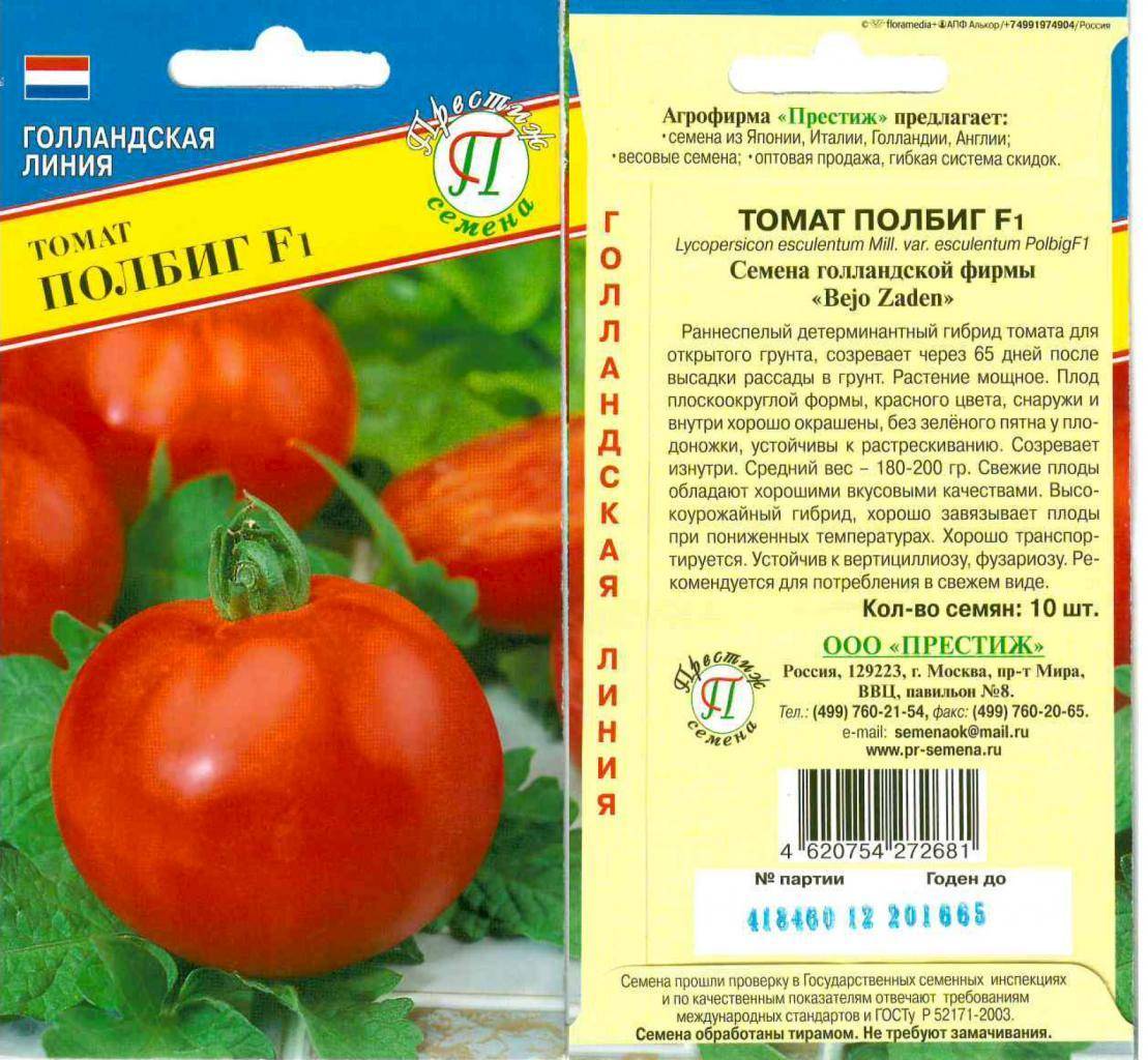 Томат полбиг: отзывы, фото, урожайность, описание и характеристика | tomatland.ru