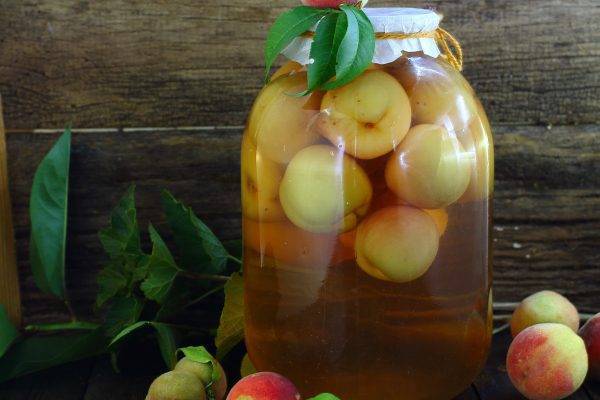 Компот из персиков — пошаговый рецепт с фото