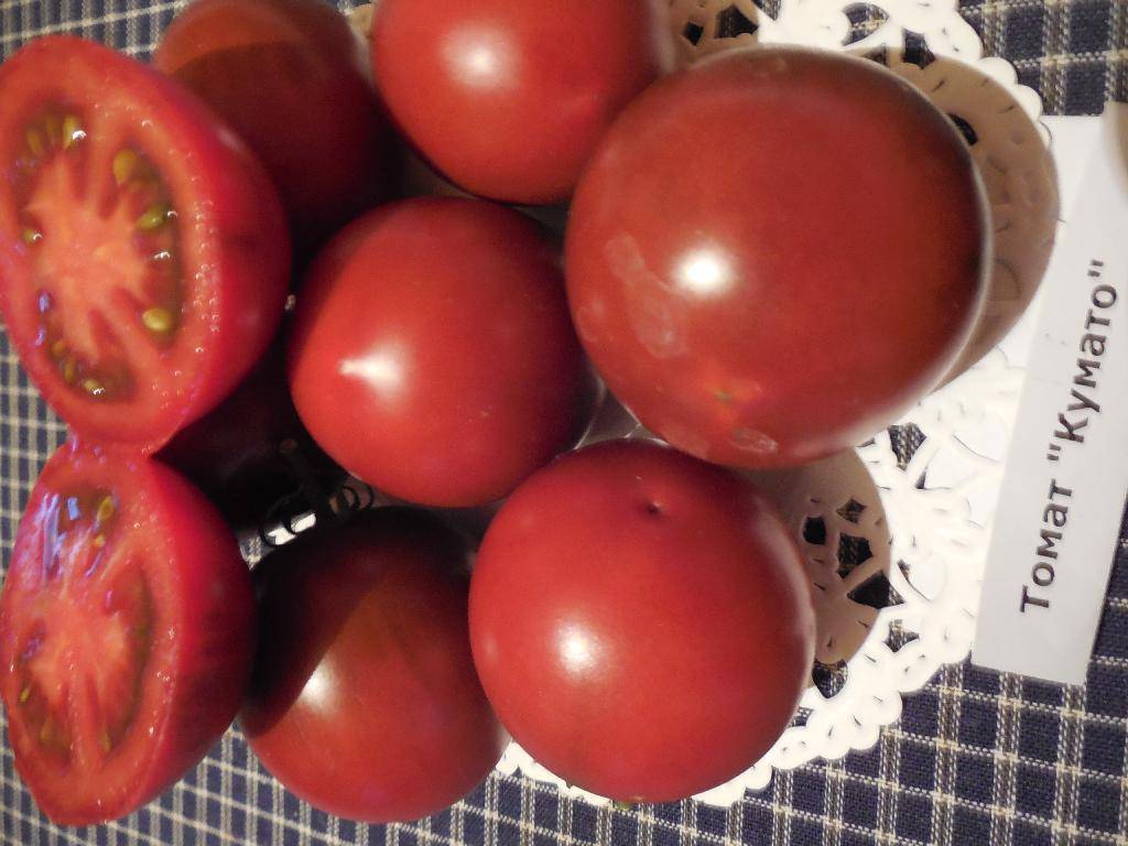 Помидоры "кумато": описание сорта, особенности выращивания, фото черного томата