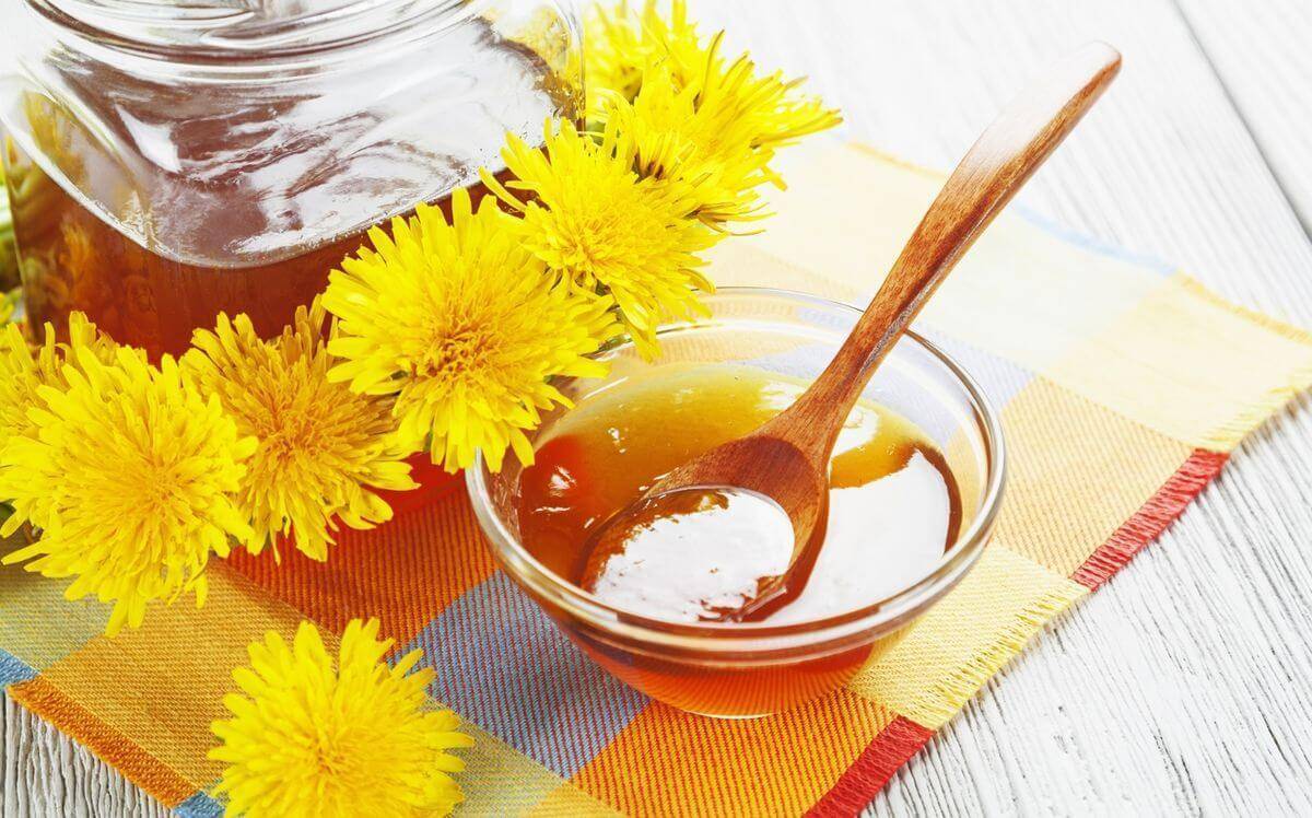Мёд из одуванчиков: польза и вред, как употреблять, рецепты с фото