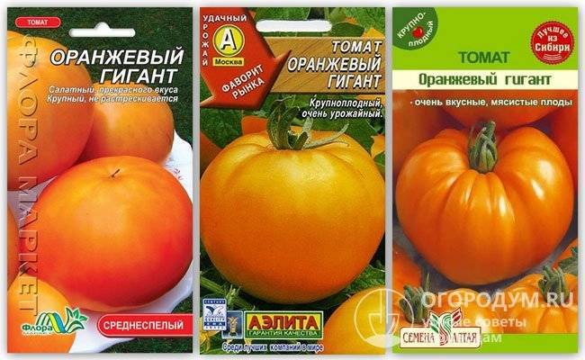 Томат биг биф f1 характеристика сорта и отзывы садоводов