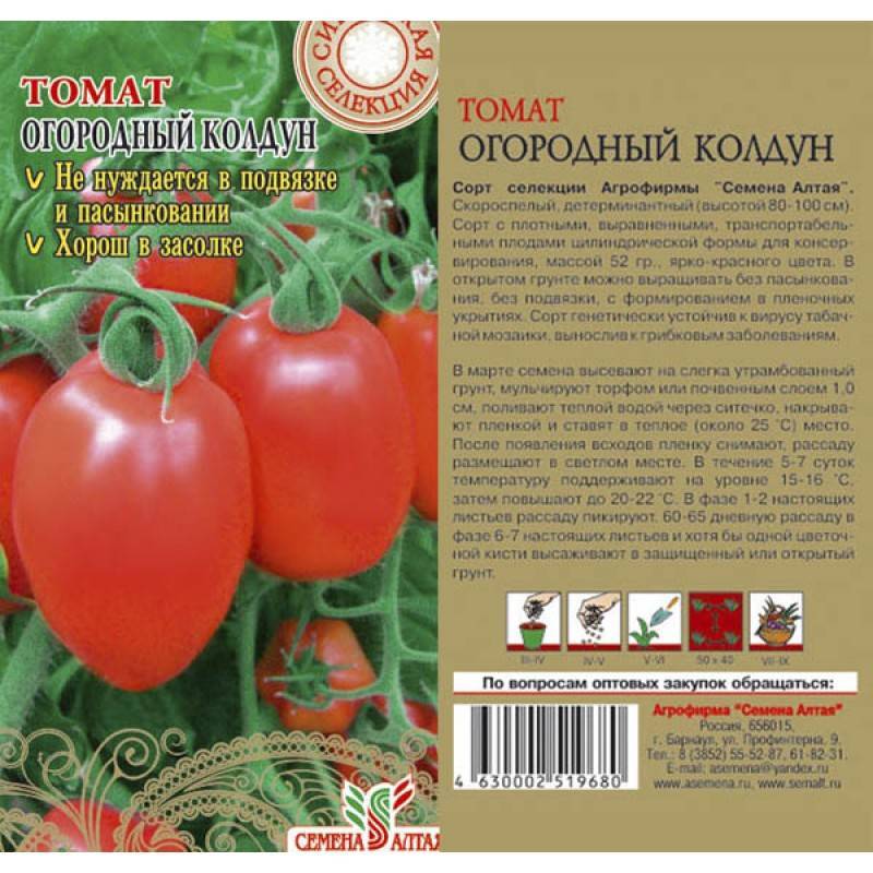 Описание и характеристика сорта томата Огородный колдун, урожайность и уход