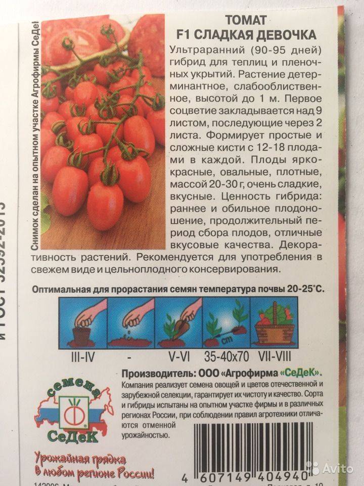Томат моравское чудо: характеристика и описание сорта с фото, урожайность помидора, отзывы