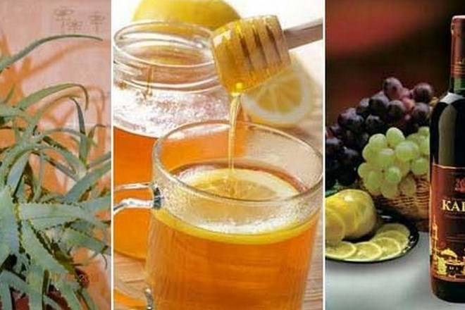 Алоэ с медом и кагором: рецепт настойки, ее польза для здоровья – сайт о винограде и вине