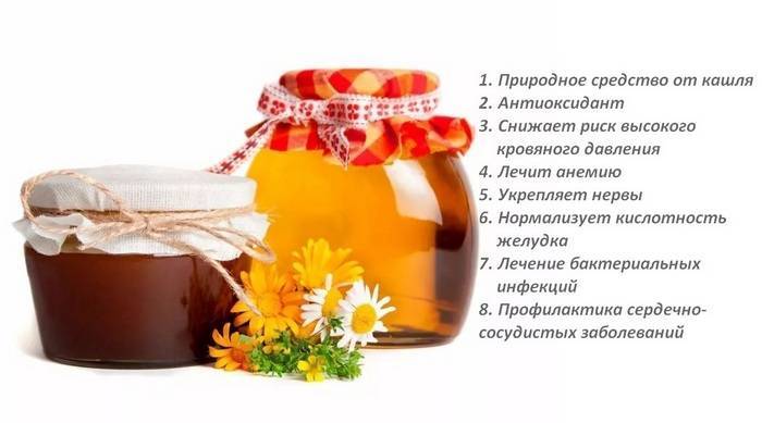 Гречишный мед: полезные свойства и противопоказания, как определить и принимать