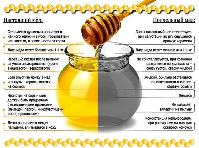 Как отличить настоящий натуральный мед от подделки