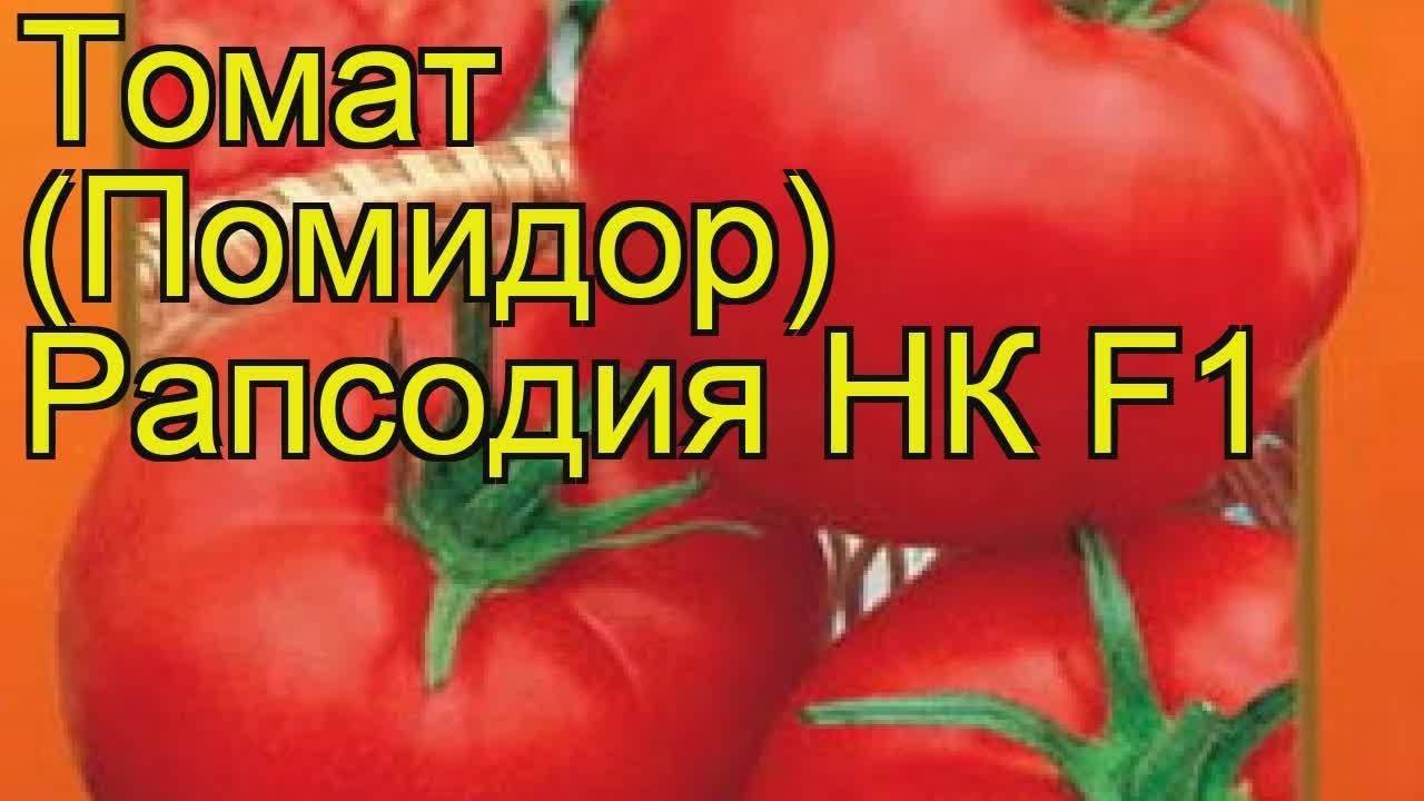 Томат “малиновый мясистый”: сорт с выдающимися качествами