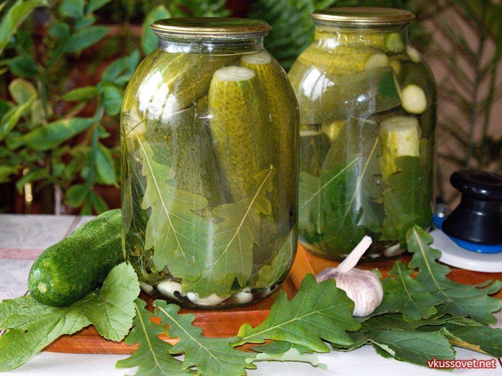 Хрустящие маринованные огурцы — 8 вкусных рецептов на зиму