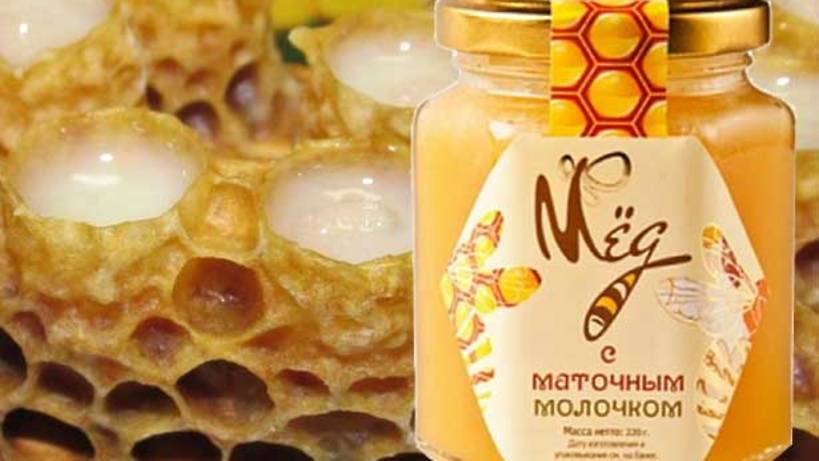 Мед с маточным молочком: полезные свойства и противопоказания, как отличить подделку?