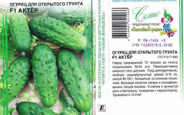Огурцы для открытого грунта для подмосковья