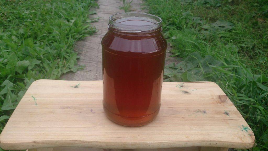 Дягилевый мед: полезные свойства и противопоказания