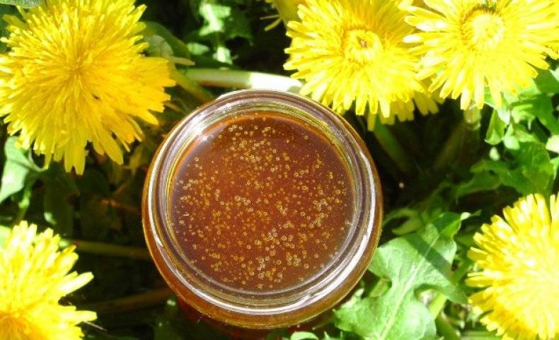 Цветочный мёд — описание. состав. виды. свойства. рецепты