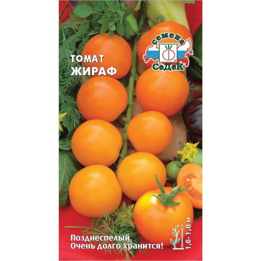Штамбовые сорта томатов с описанием, характеристикой и отзывами, а также особенности их выращивания