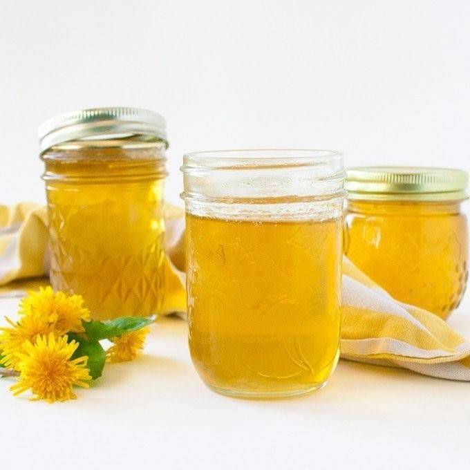 Одуванчиковый мед: полезные свойства для здоровья и применение