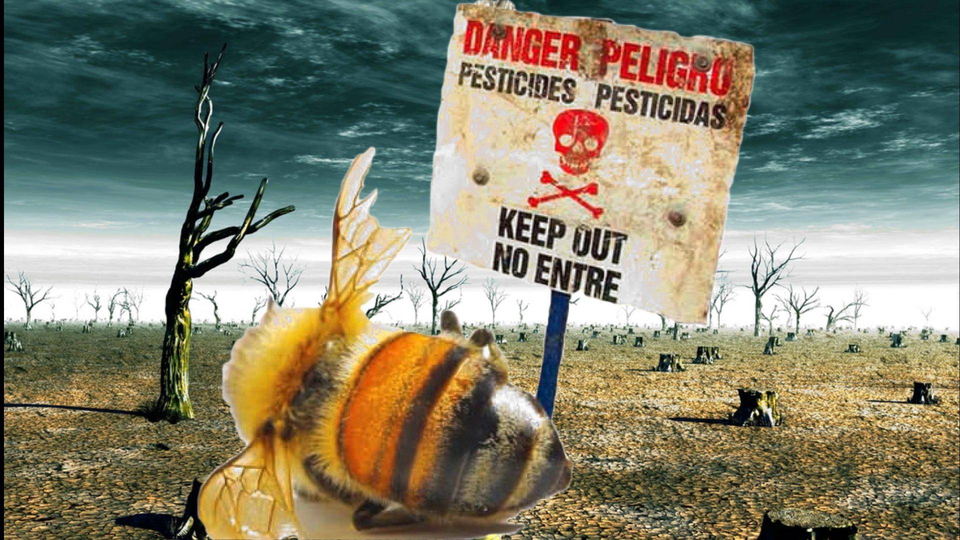 Последствия вымирания пчел