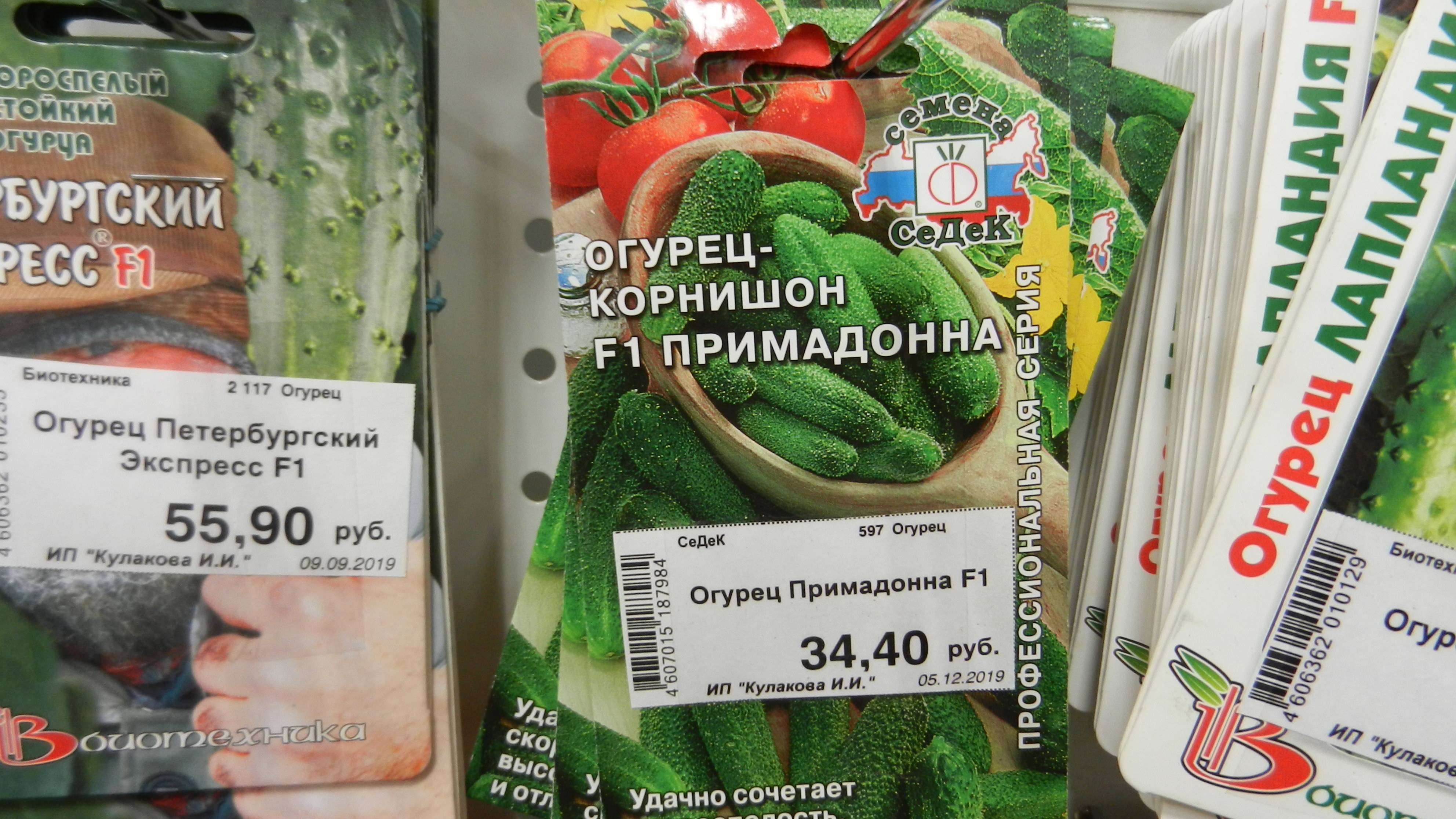 Гибрид огурцов «сибирский букет f1»: фото, видео, описание, посадка, характеристика, урожайность, отзывы