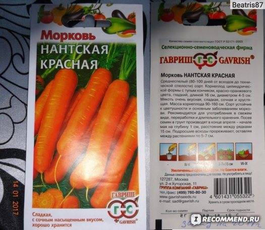 Перечень сортов моркови, предназначенных для длительного хранения