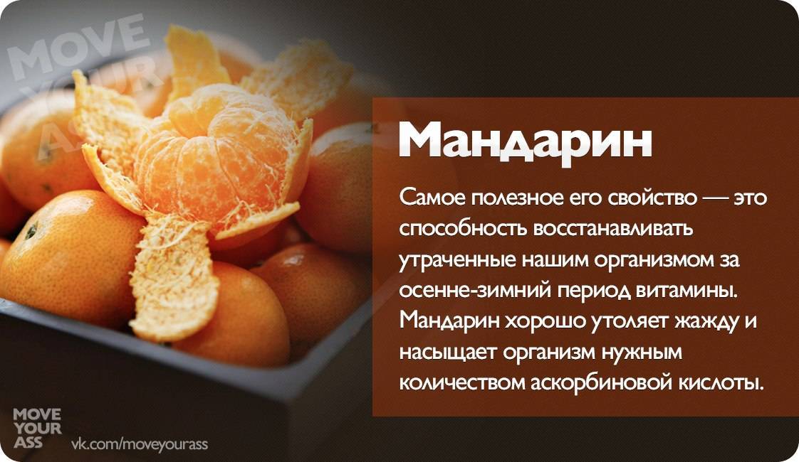 Польза апельсина — 8 положительных свойств для организма человека
