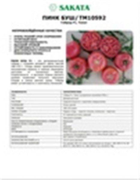 Томат малиновое пламя f1: описание новинки, основные характеристики раннего сорта, отзывы, фото и правила выращивания и ухода, урожайность