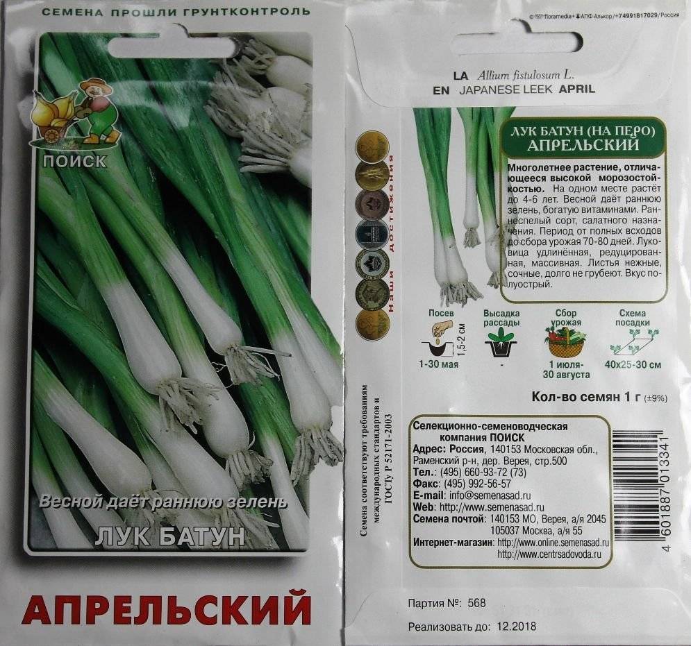 Лук батун схема посадки