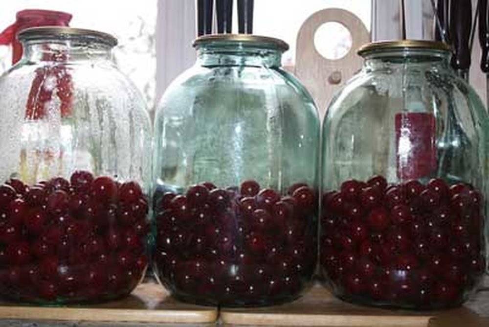 Вкусный компот из вишни на 3 литровую банку: рецепты на зиму