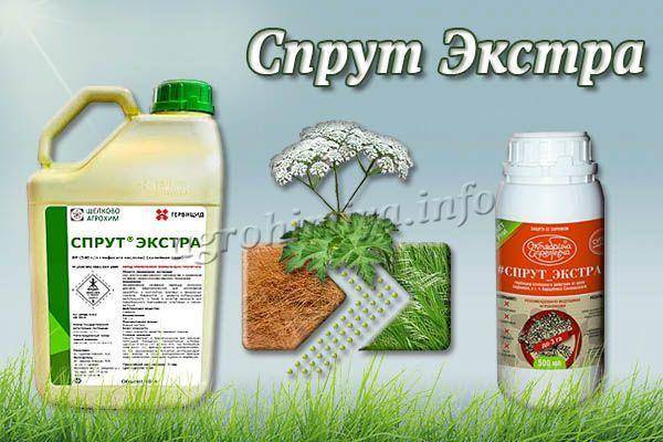 Принцип действия гербицида титус, преимущества использования в сельском хозяйстве, аналоги