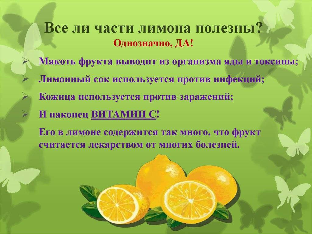 Чем полезен лимон – полезные свойства и противопоказания для организма человека