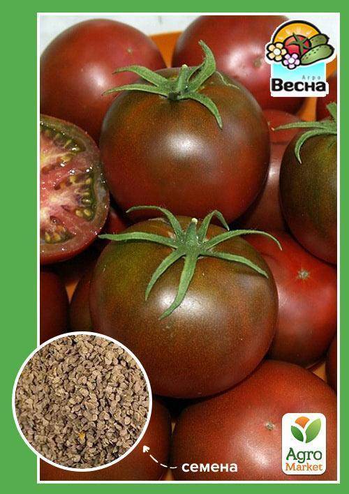 Необычный томат шоколадный: описание сорта, нюансы выращивания