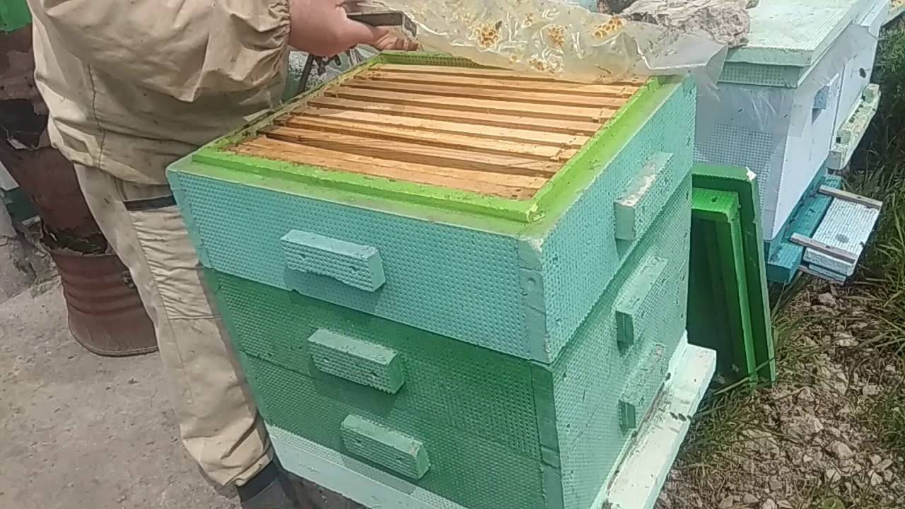 Двухкорпусный метод содержания пчел