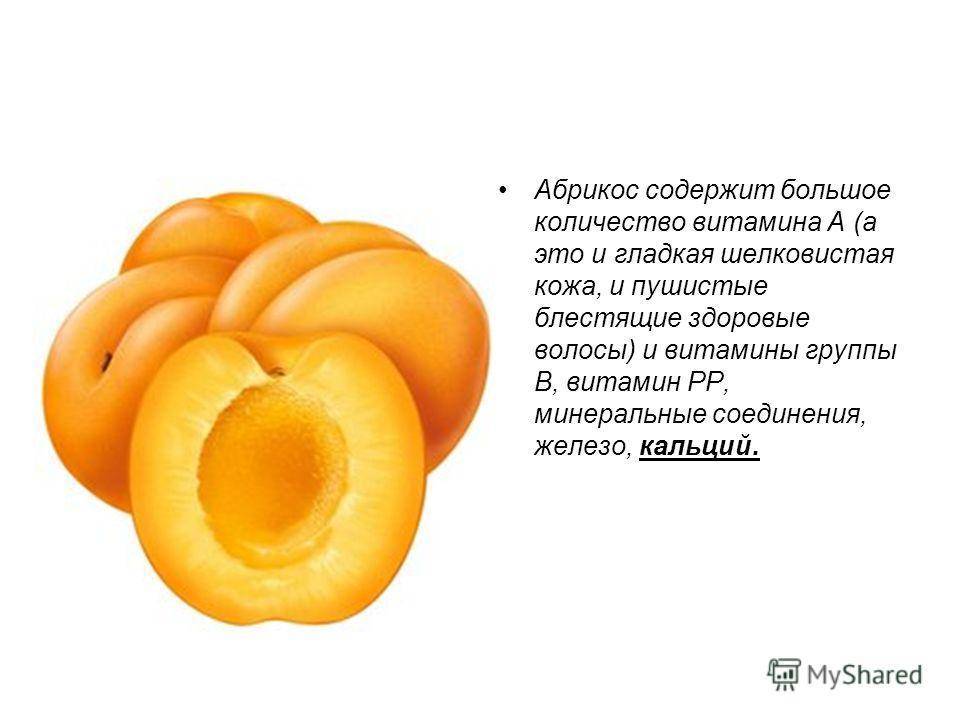 Абрикос: калорийность фрукта и его польза для худеющих