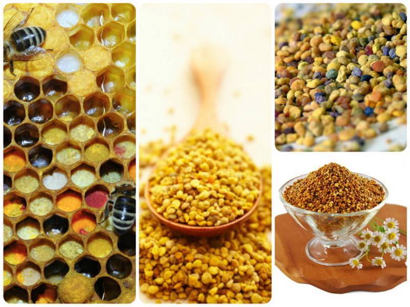 Прополис, перга и пыльца. уникальные продукты пчеловодства
