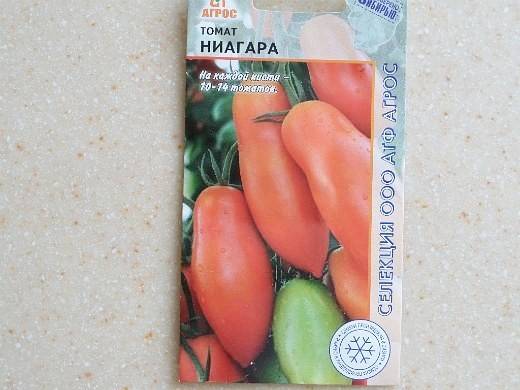 Сорт томатов ниагара, описание, характеристика и отзывы, а также особенности выращивания