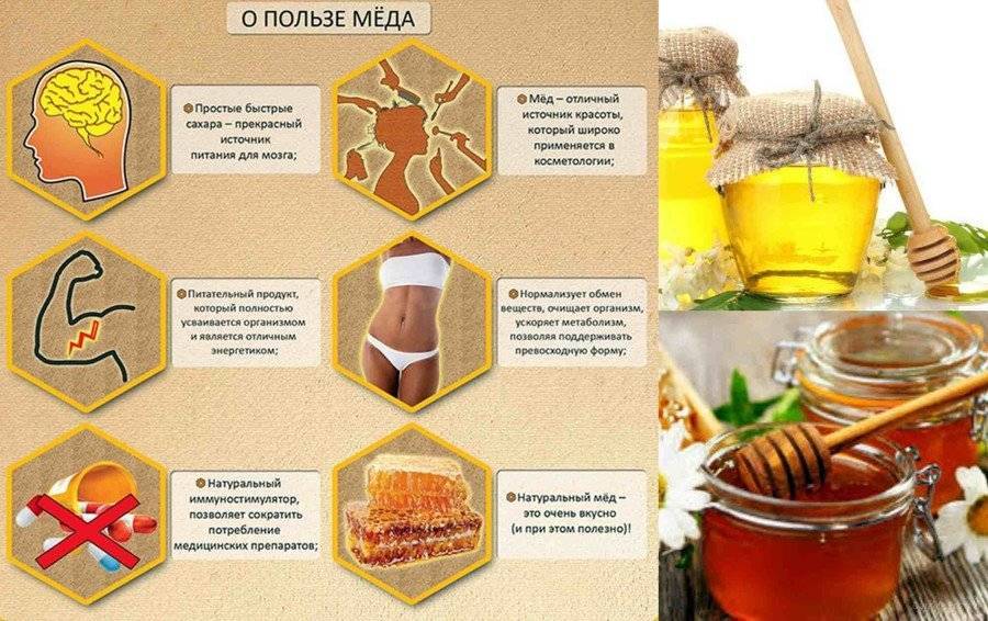Польза и вред меда в сотах: можно ли есть пчелиные соты, их полезные свойства