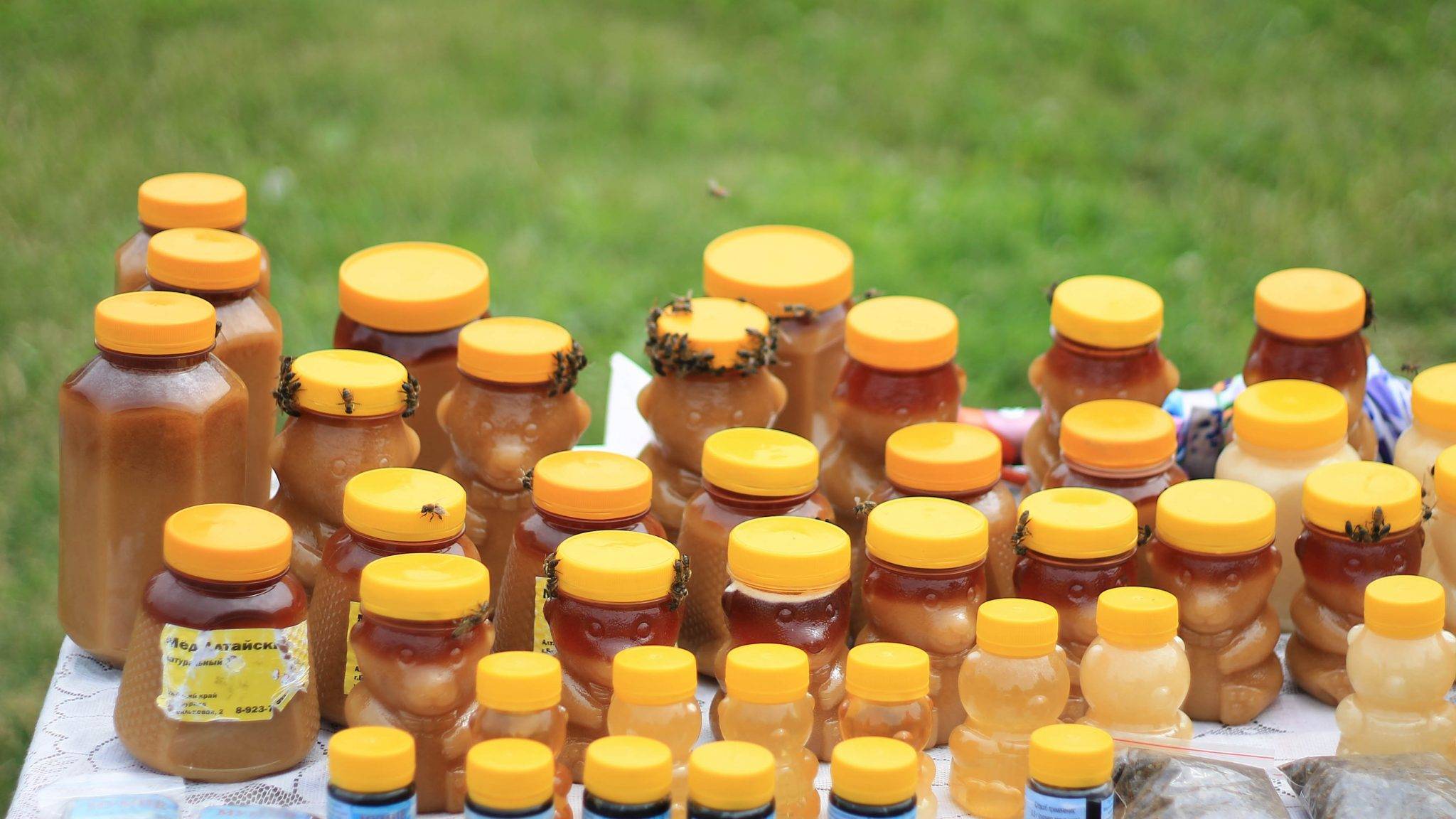 Самый полезный мёд по рейтингу составленному специалистами – 8 сортов – 8 мест