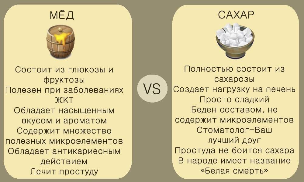 Что полезнее — мед или сахар?