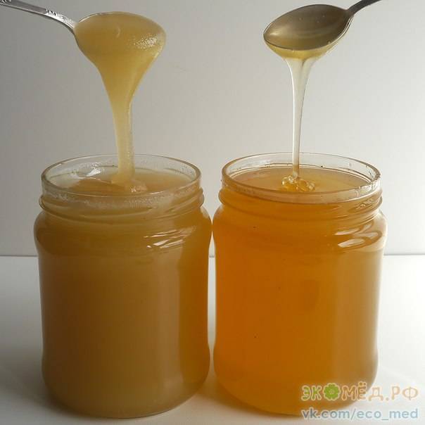 Куда деть засахаренный мед: мой рецепт простейшей медовухи, которую сможет приготовить каждый