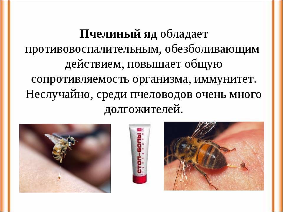 Природное лекарство – пчелиный яд