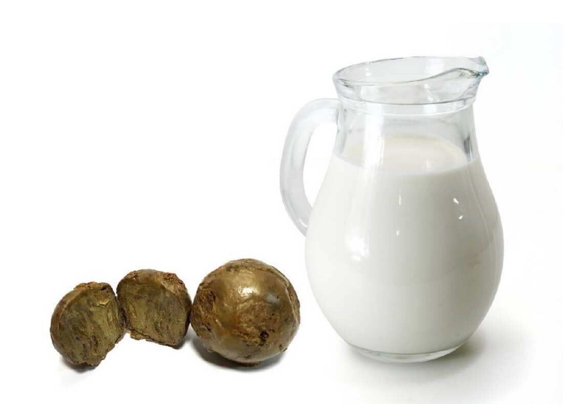 Всё о пользе применения прополиса с молоком – особенности лечения взрослых и детей, рецепты от кашля, гастрита и других недугов, противопоказания и отзывы