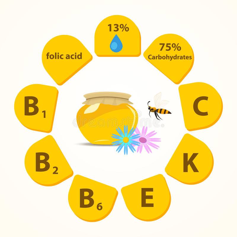 Мёд — какие витамины содержит