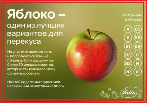Какие витамины содержатся в яблоках: польза, микроэлементы