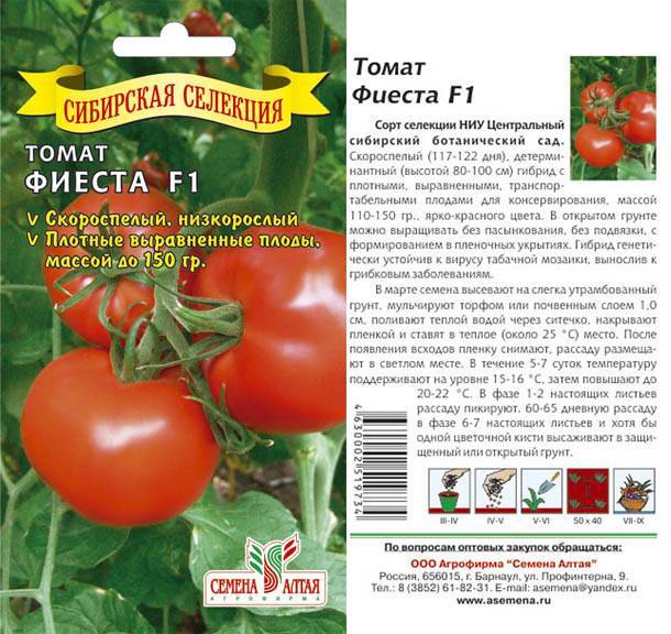 Крупноплодный сорт томатов орлиное сердце