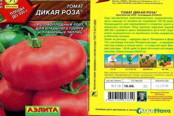 Томат звезда сибири f1: отзывы об урожайности помидоров, характеристика и описание сорта, фото семян