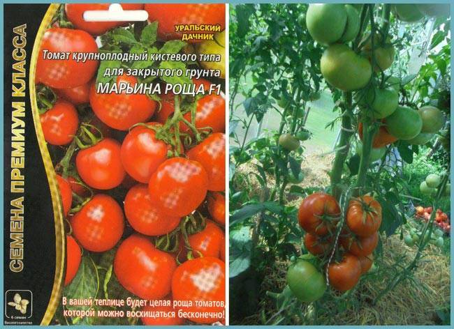 Томат марьина роща f1: отзывы, фото куста, урожайность и описание сорта